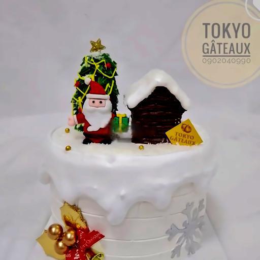 bsg16-banh-sinh-nhat-ong-gia-noel-size-14