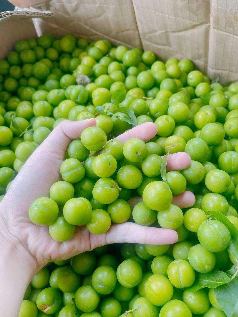 man-com-1-hop-400g-muoi-cham-phe