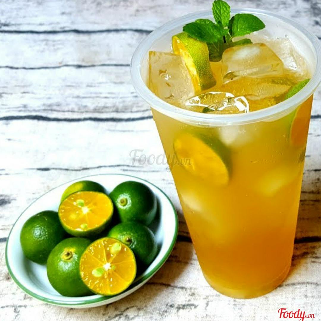 tra-quat-nha-am-size-l