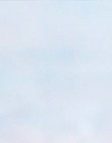 met-an-vat-nho-1-tra-chanh-khong-lo