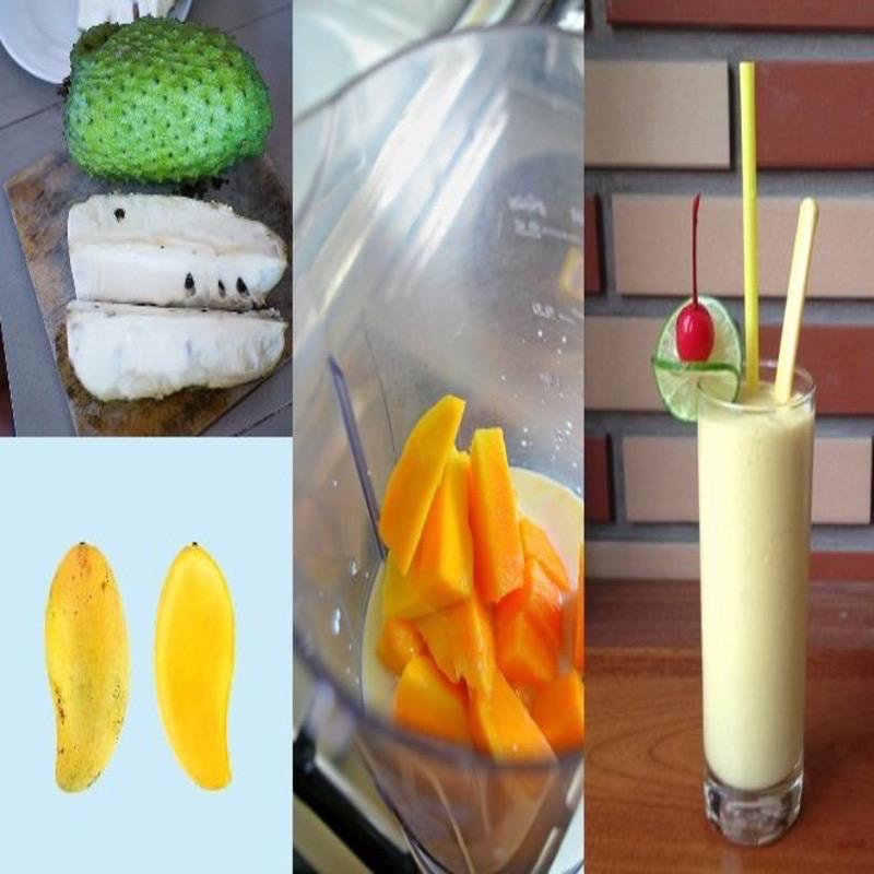 sinh-to-mang-cau-xoai