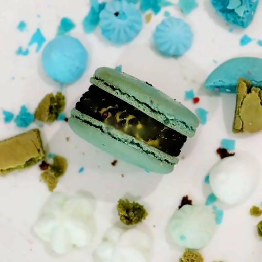 macaron-vi-mint-chocochip