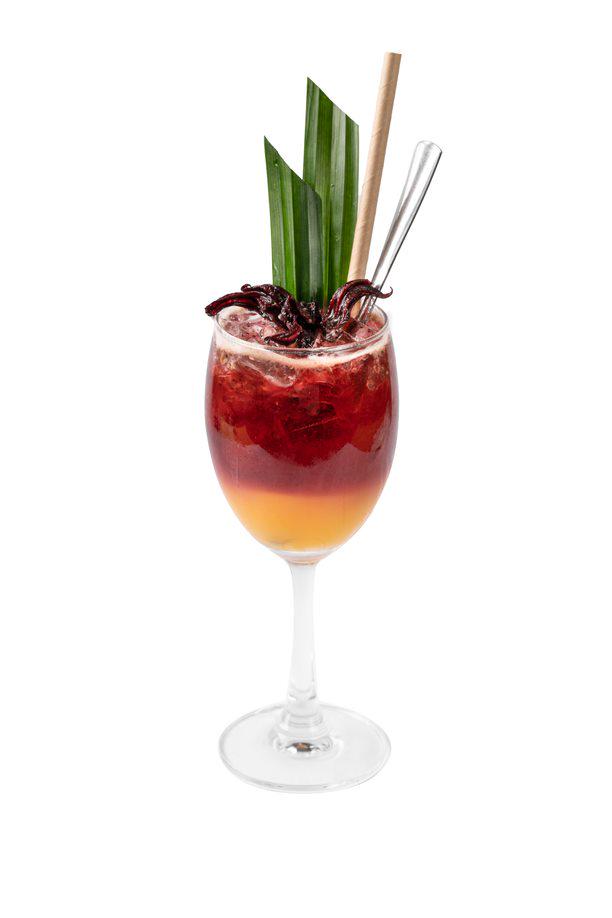 hibiscus-chanh-day-hat-chia
