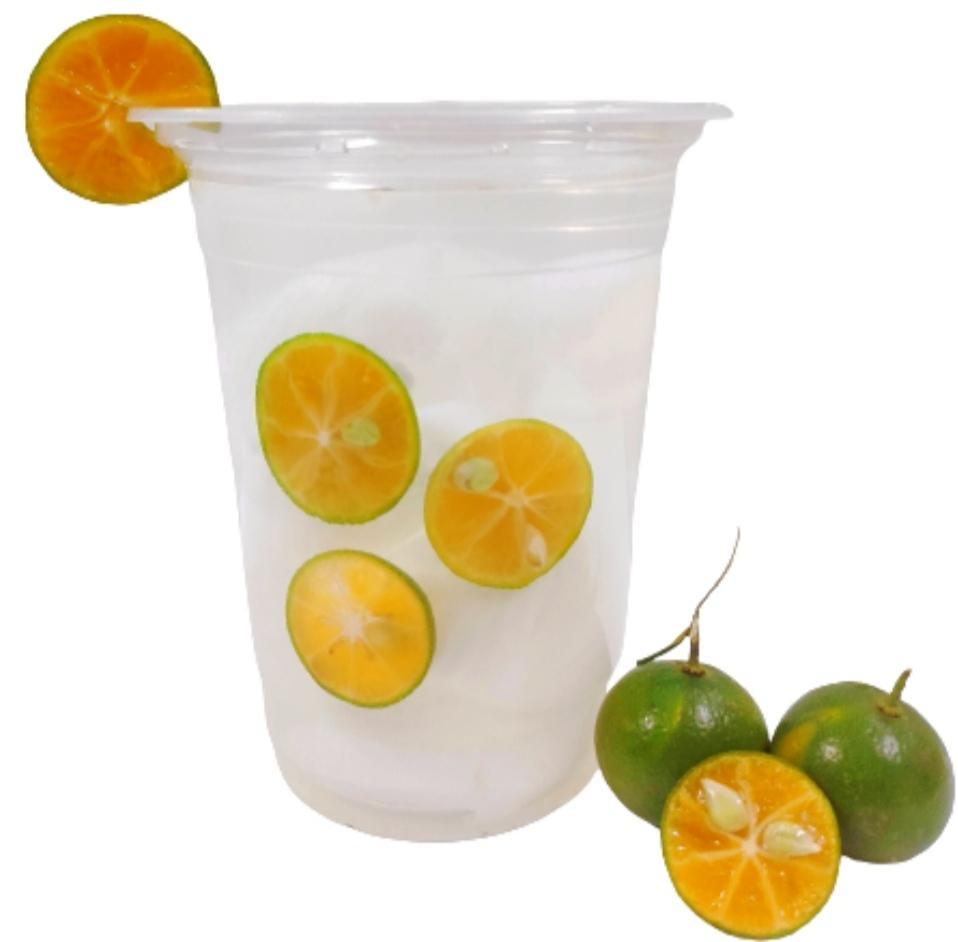 dua-tac-xi-muoi-ly-lon