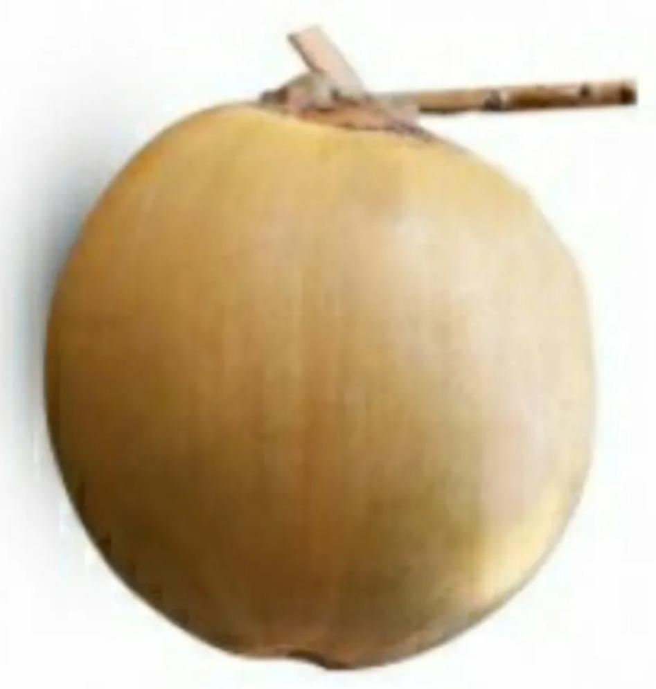 dua-xiem-uop-lanh-nguyen-trai