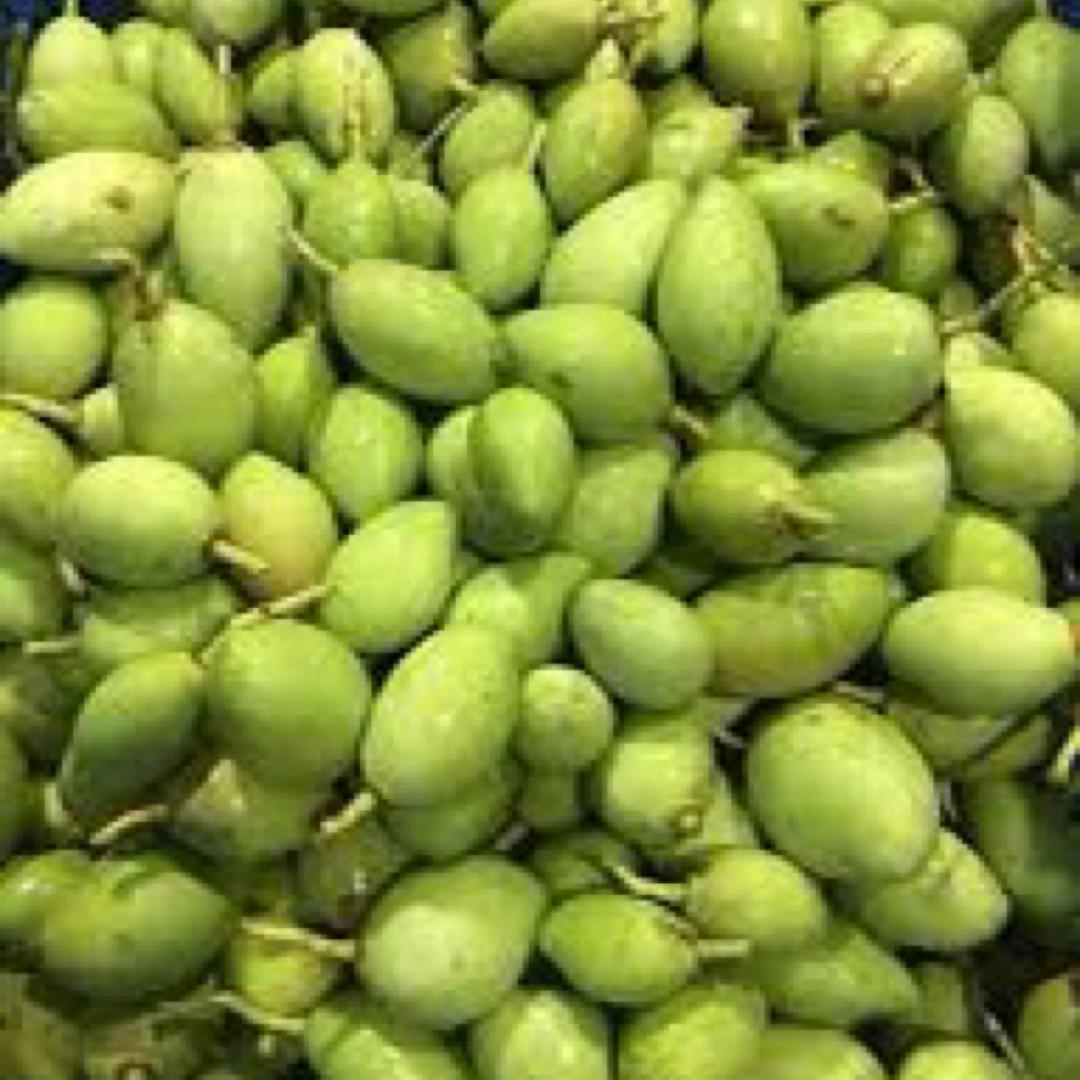 0-5kg-xoai-bao-tu-chua-got