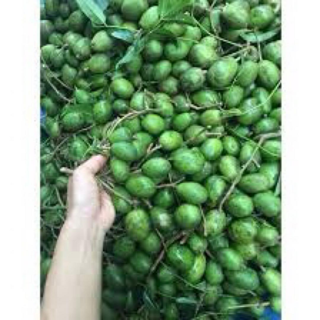 coc-bao-tu-chua-got-0-5kg