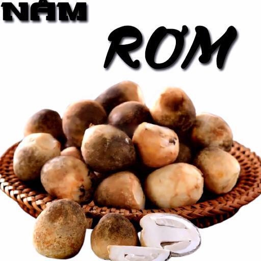 nam-rom