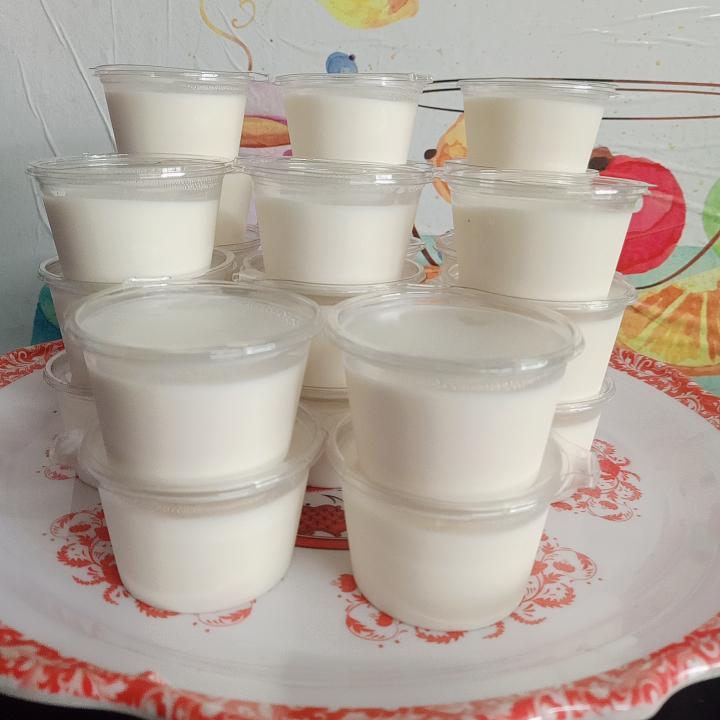 yaourt-deo-set-10-hu