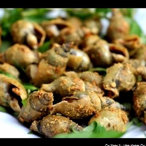 oc-ca-na-rang-muoi-pho-mai