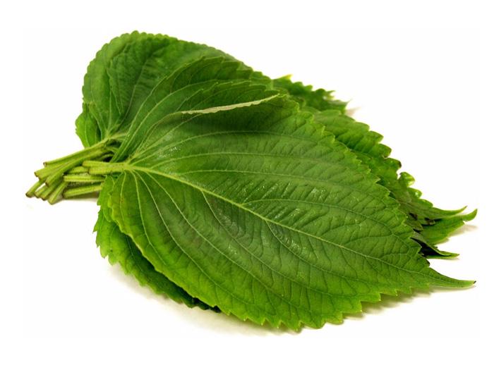 10-la-me-perilla-leaf