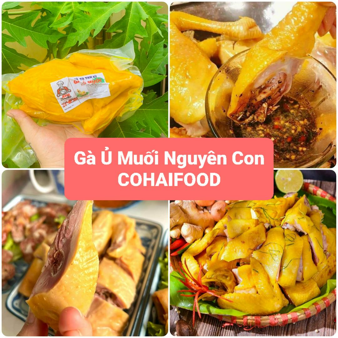 ga-u-muoi-nguyen-con-co-au-chan