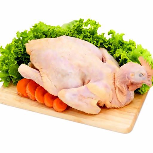 ga-ta-nguyen-con-song