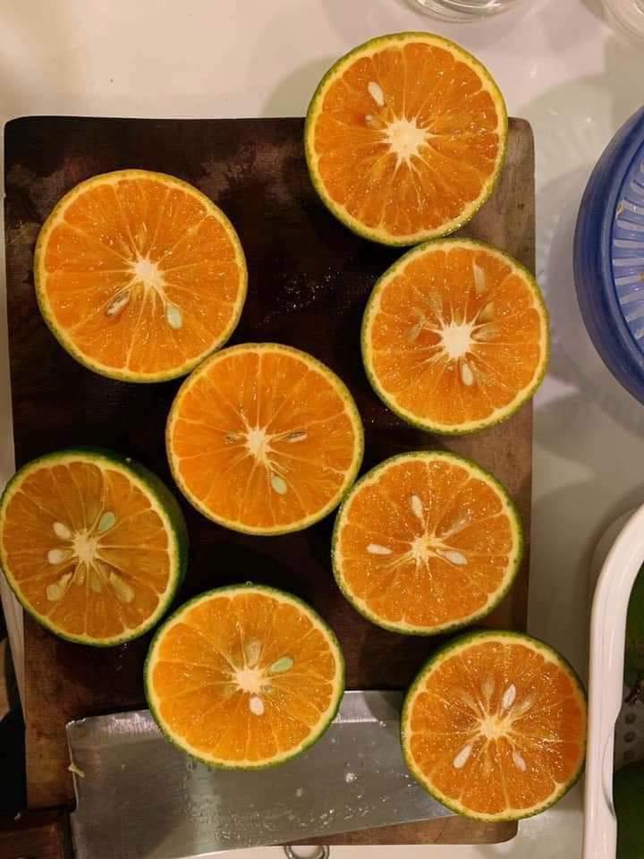 nuoc-ep-cam
