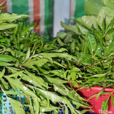 rau-them-phan-nho-more-small-vegetable