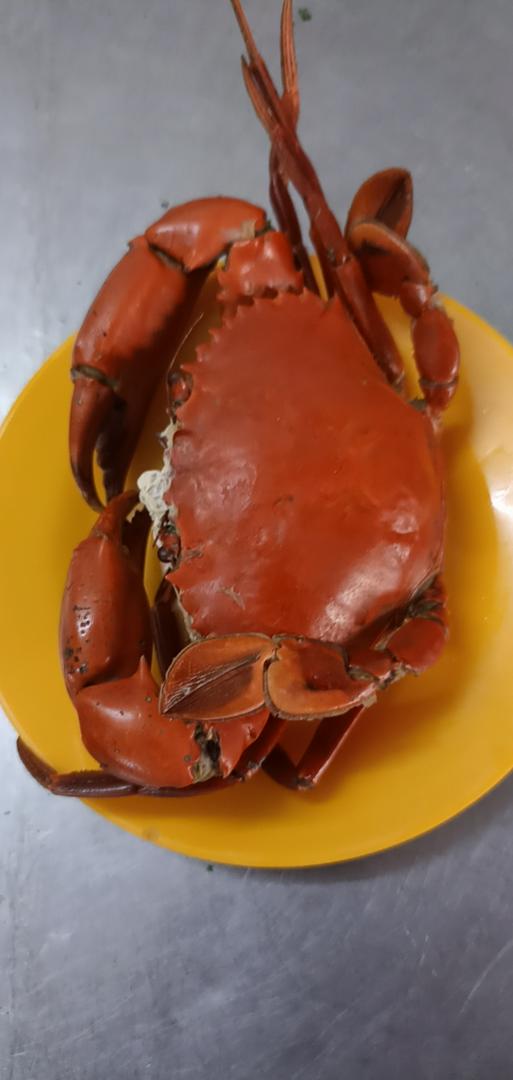 cua-thit-luc-si-hap-nuoc-dua-600g