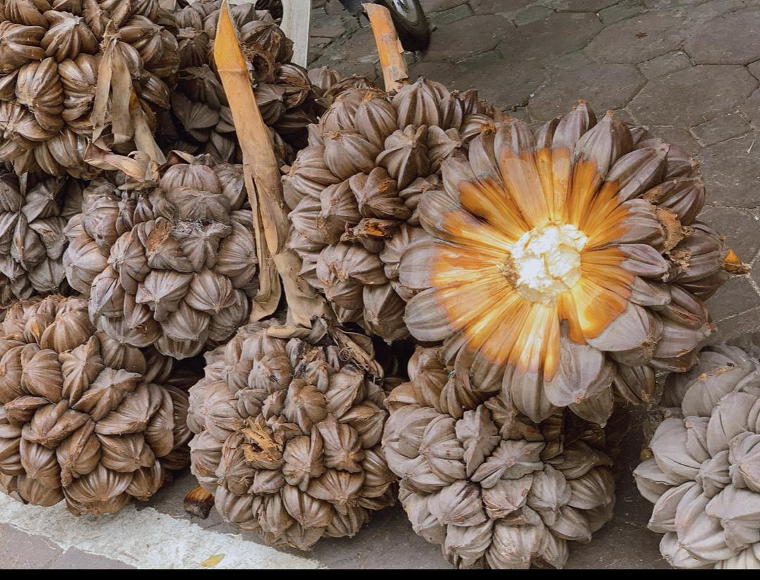 buong-dua-nuoc-mien-tay