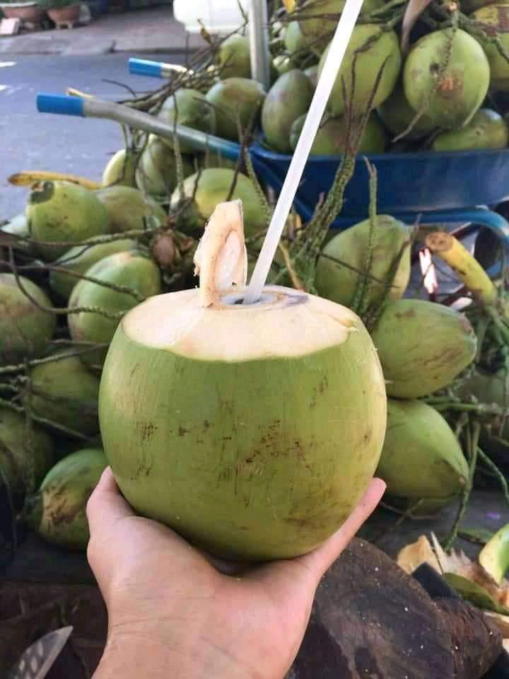 dua-xiem-ben-tre-loai-lon-1-trai