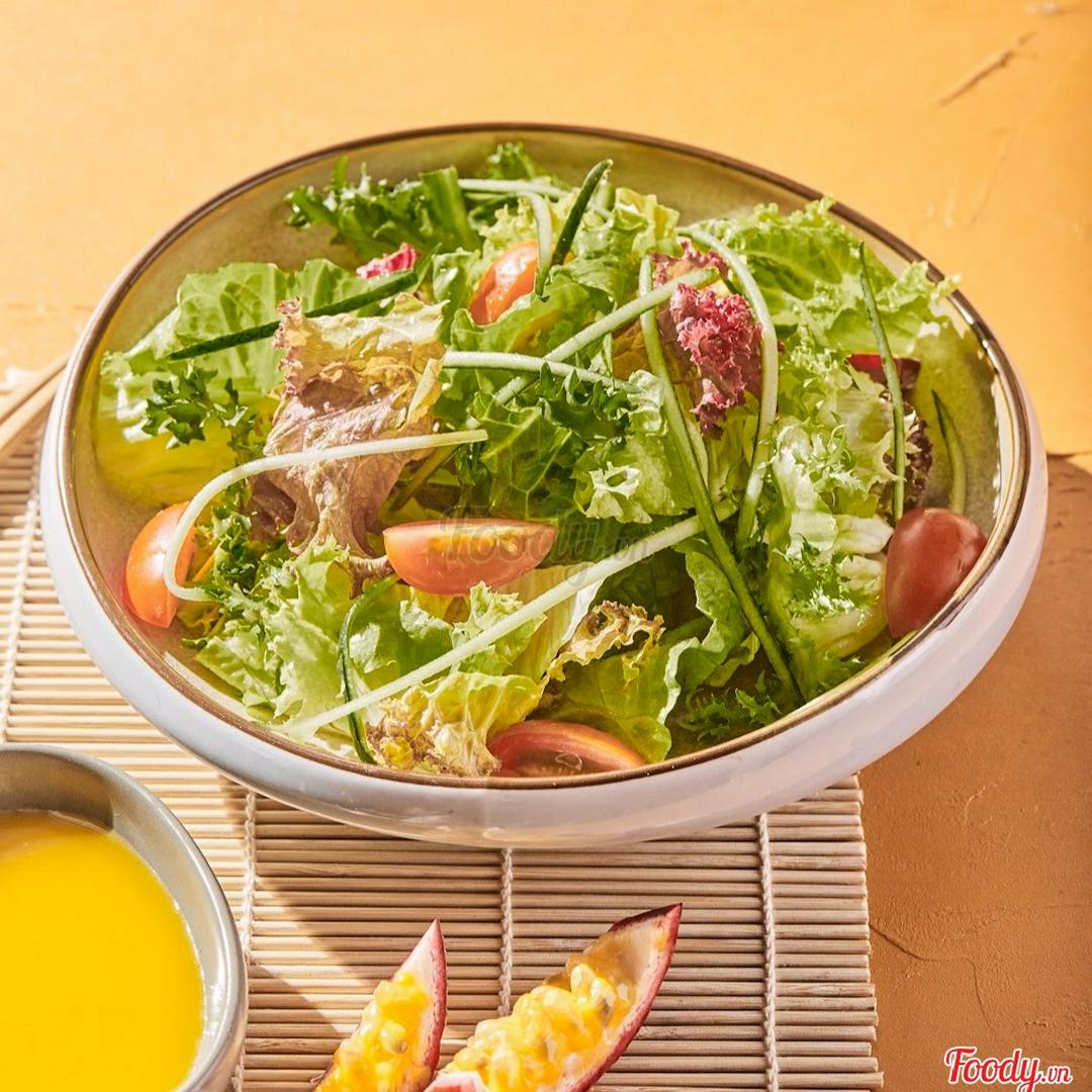 sa-lat-vuon-sot-chanh-leo-d