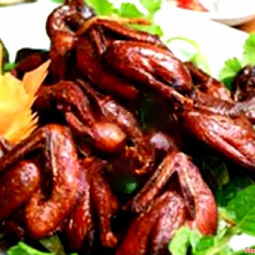 chim-cut-chien-gion-1-con