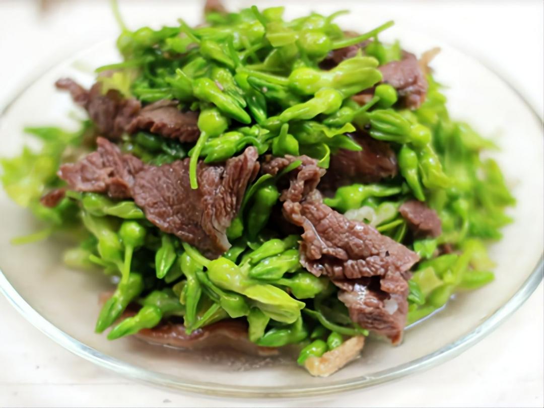 bo-xao-bong-thien-ly