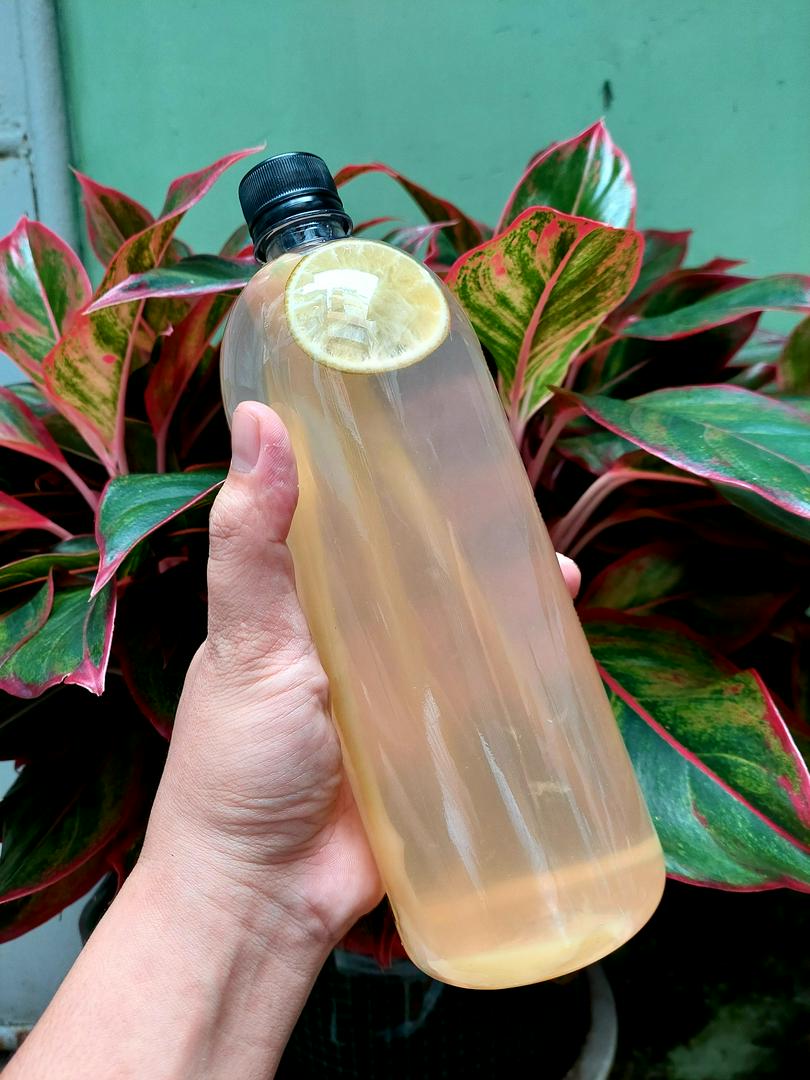 detox-chanh-sa-gung-1000ml