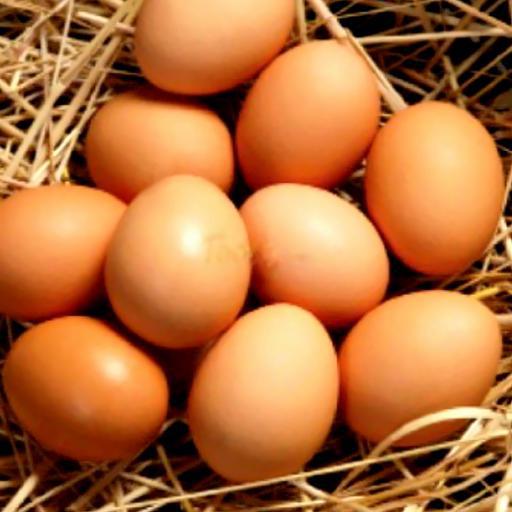 long-o-trung-ga-them-vao-chao