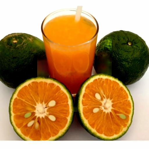 nuoc-cam-tuoi-mat-ong