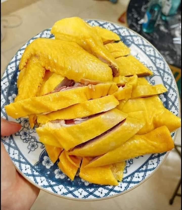 ga-u-muoi-hoa-tieu-nua-con-ko-au-chat-san