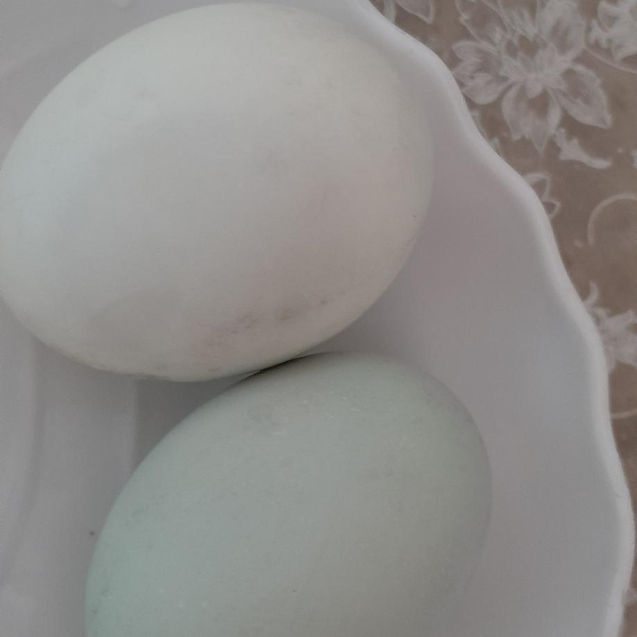 chao-trang-trung-vit-muoi