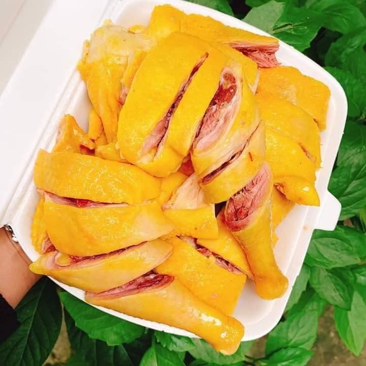 ga-u-muoi-1-con-an-mat