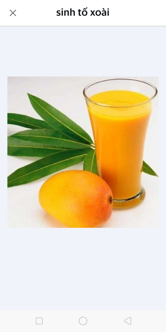 sinh-to-xoai-mang-cau