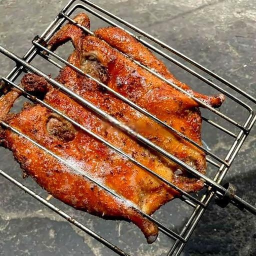 vit-nuong-van-inh-nguyen-con