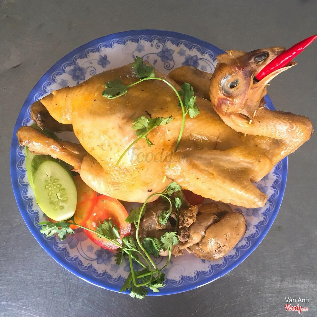 ga-ta-nguyen-con-bo-long-cung