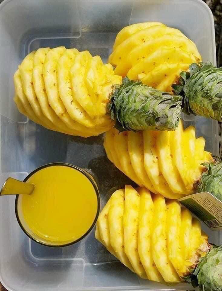 dua-got-san-sieu-ngon-ngot-thom