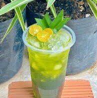 tra-tac-thai-hat-chia