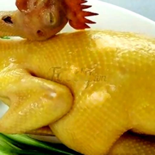 ga-hap-tuyet-hap-muoi