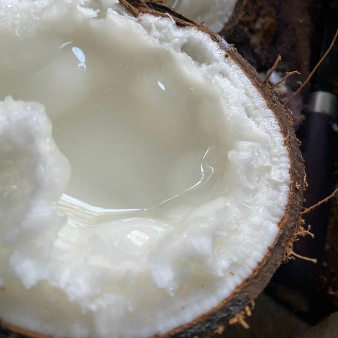 trai-dua-sap-cau-ke-bao-sap-1-1