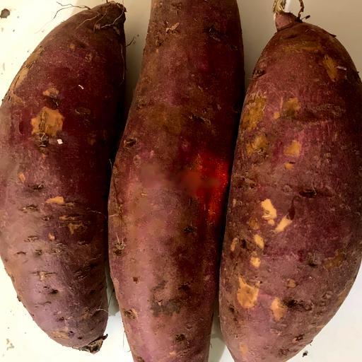 combo-5kg-khoai-song-heo