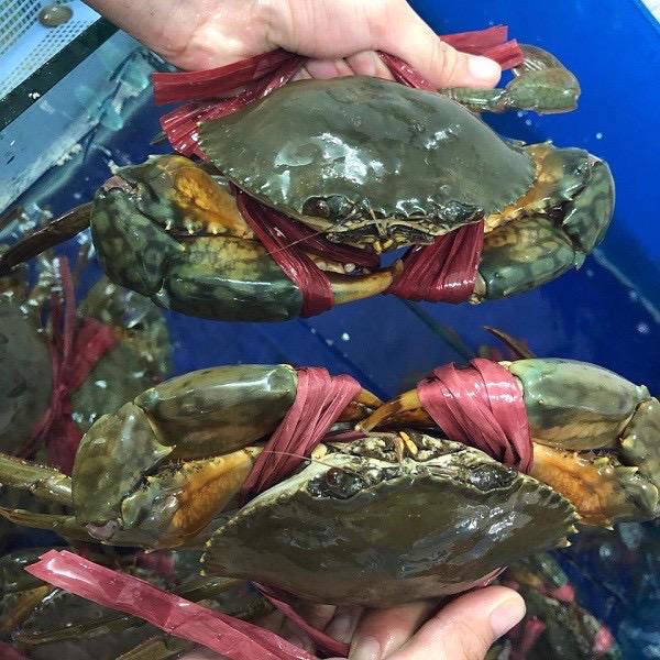 cua-thit-song-3-con-1kg