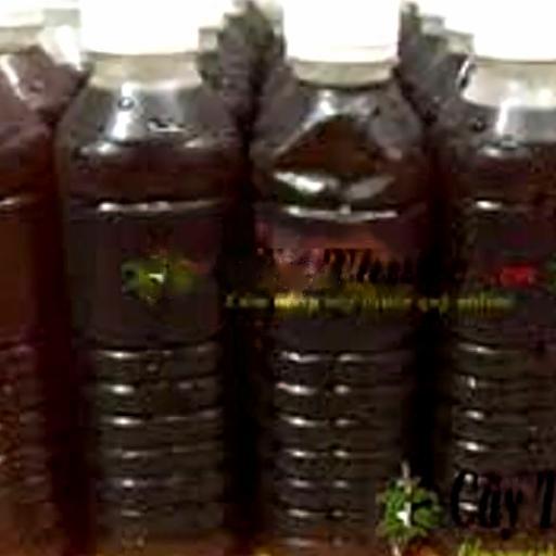 sam-lanh-hoa-cuc-nha-nau