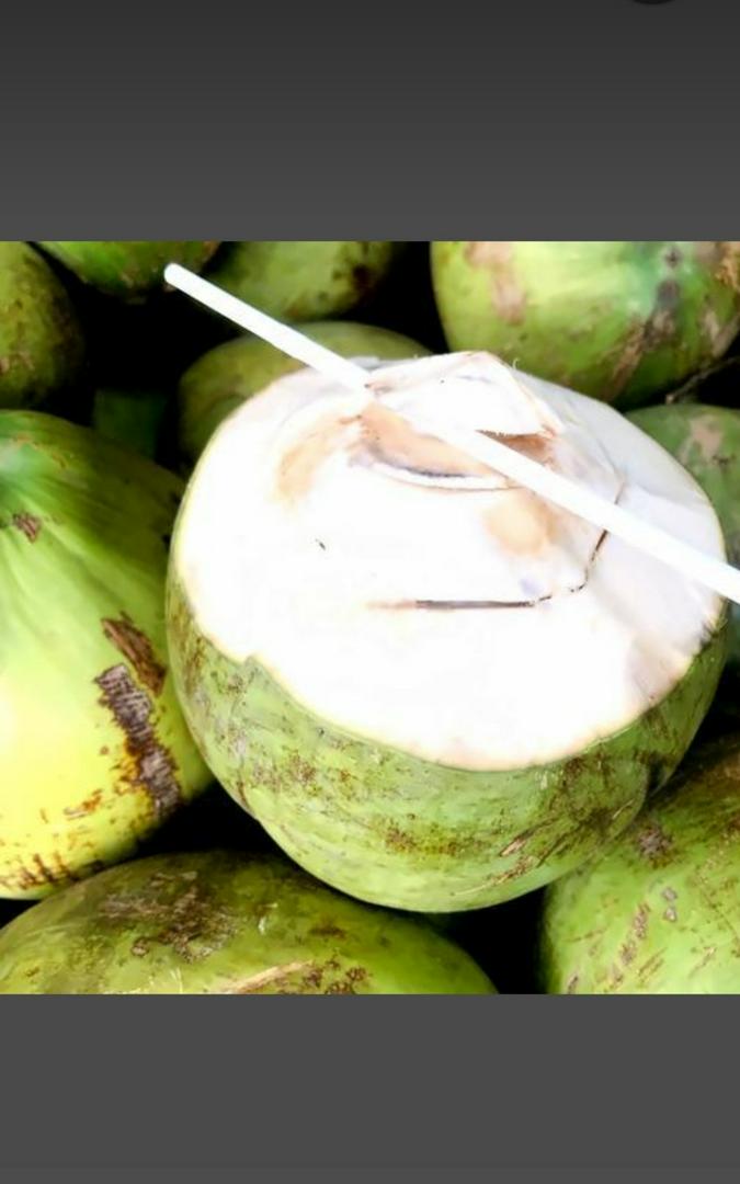 dua-xiem-ben-tre-1-qua