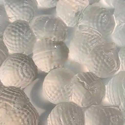 tran-chau-trang-gion