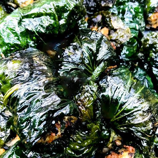 com-cha-la-lot-mon-an-kem