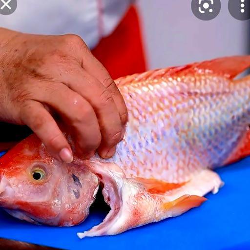 phan-them-ca-ieu-hong