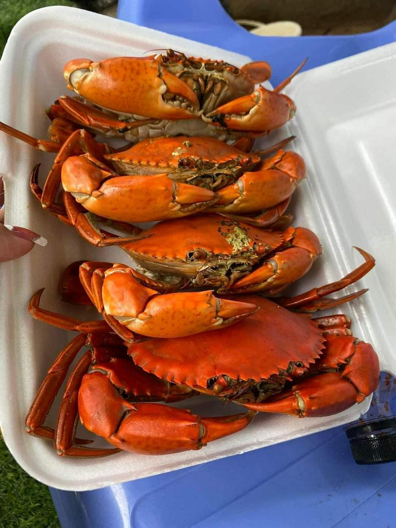 combo-4-cua-thit-vua-hap