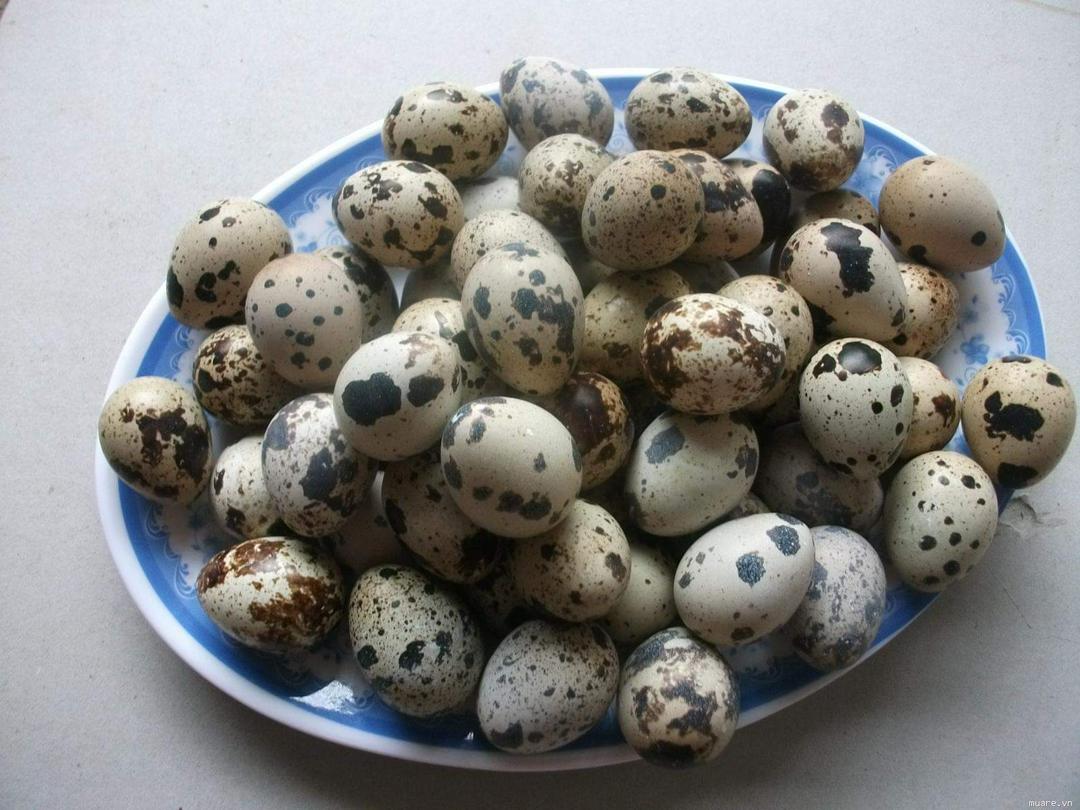 10-qua-trung-cut-luoc-cham-gia-vi