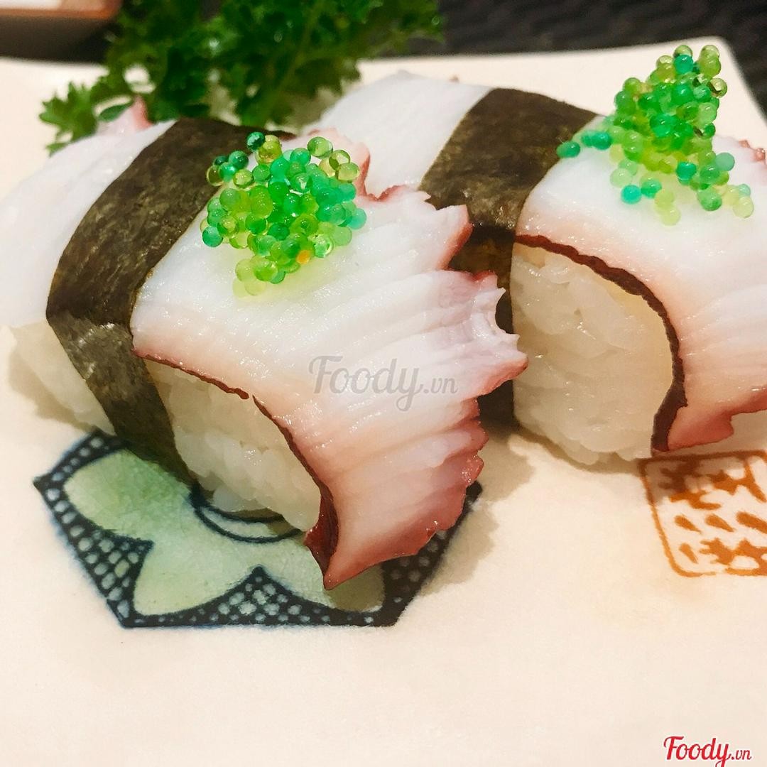 n8-tako-bach-tuoc-octopus