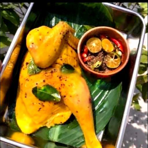 ga-u-muoi-hoa-tieu-nua-con