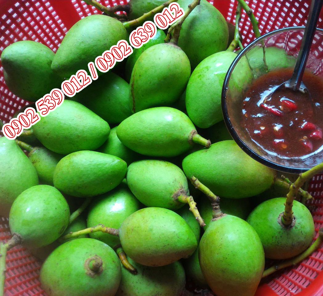 xoai-non-cat-chu-nguyen-trai-500gr